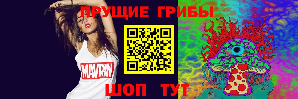 Тамбов  Галлюциногенные грибы Cubensis  Вход с VPN 